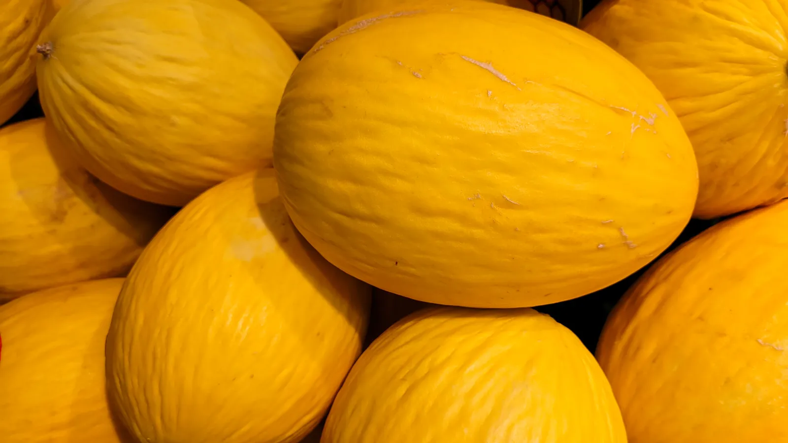Melon Jaune