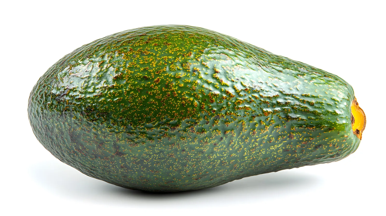 Avocat
