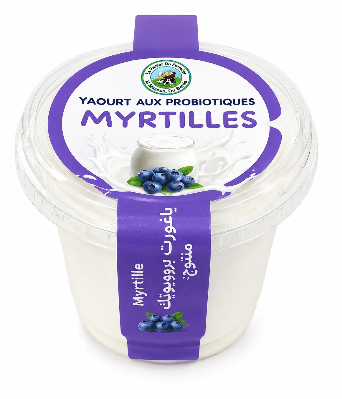 Yaourt probiotique Myrtilles