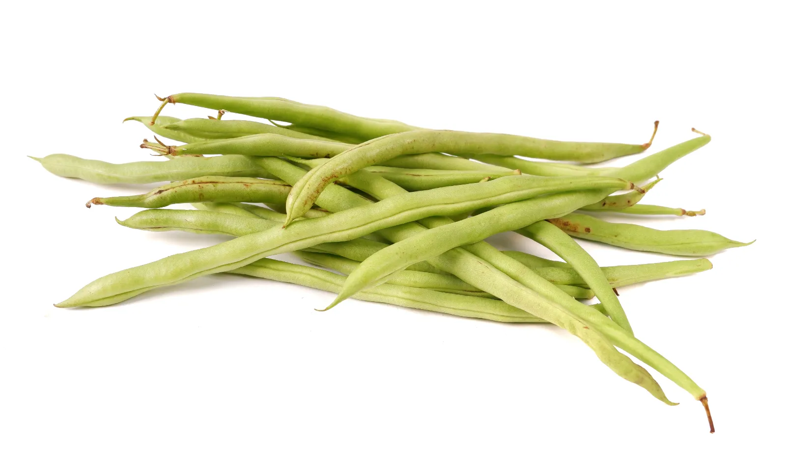 Haricot blanc frais