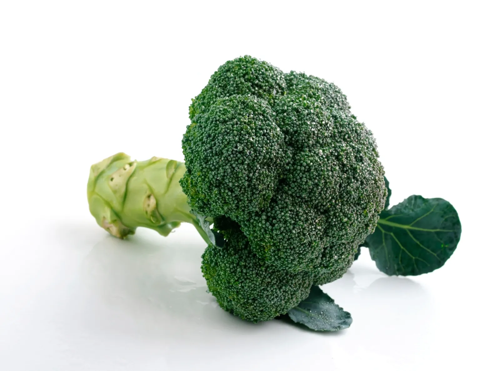 Brocoli