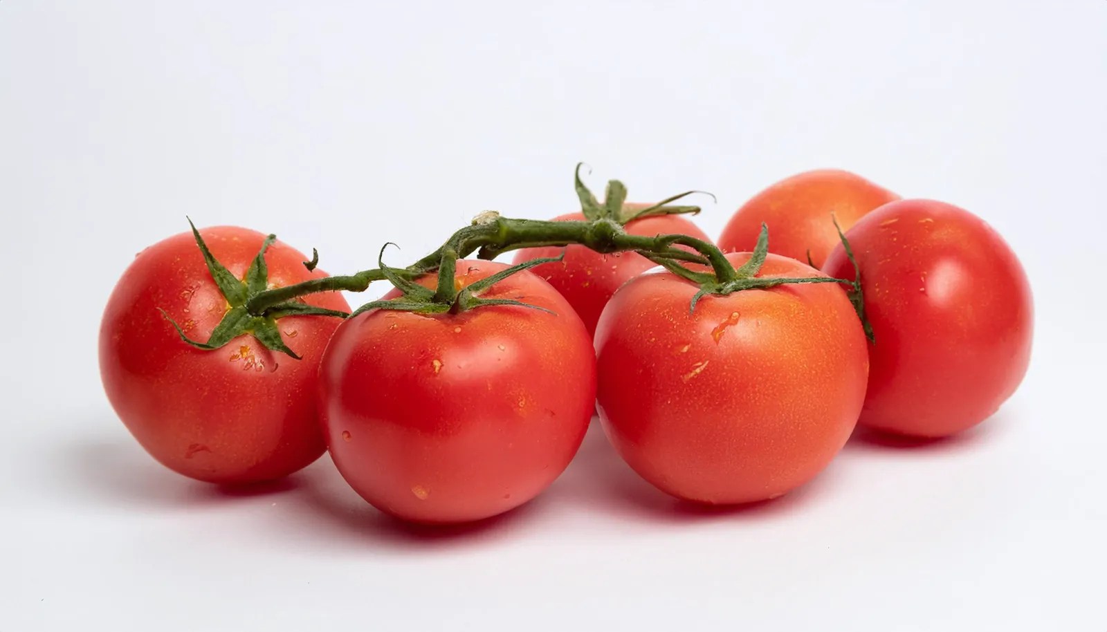 Tomate