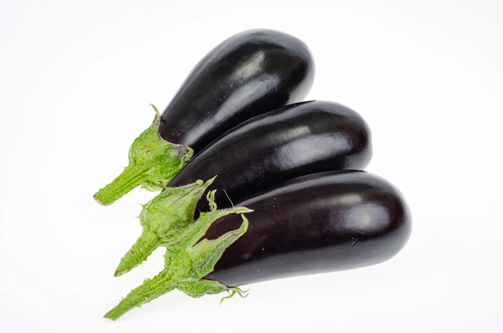 Aubergine