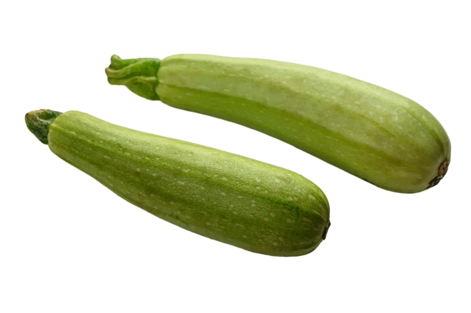 Courgette