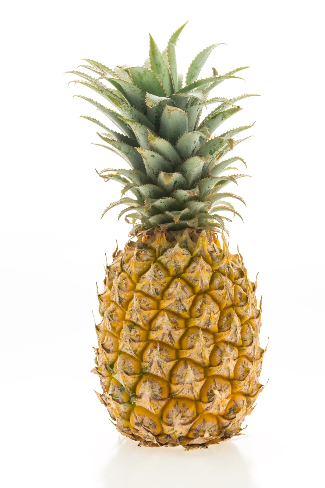 Ananas