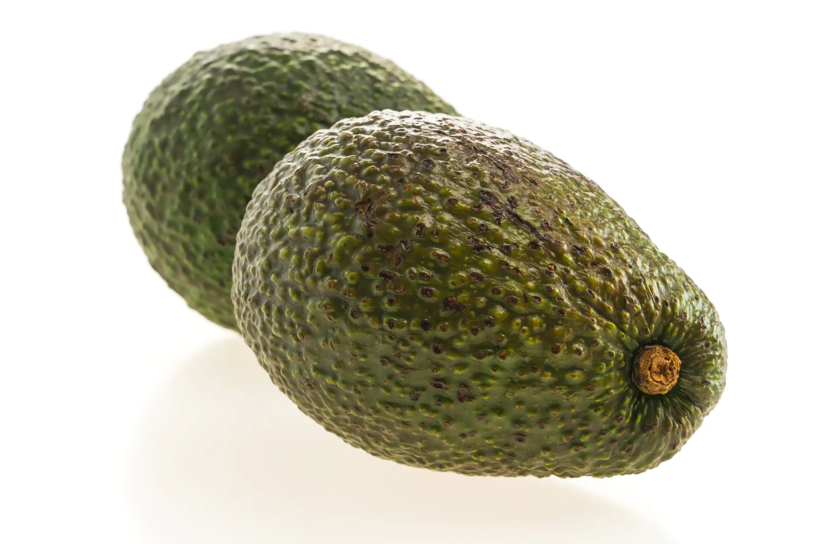 Avocat hass