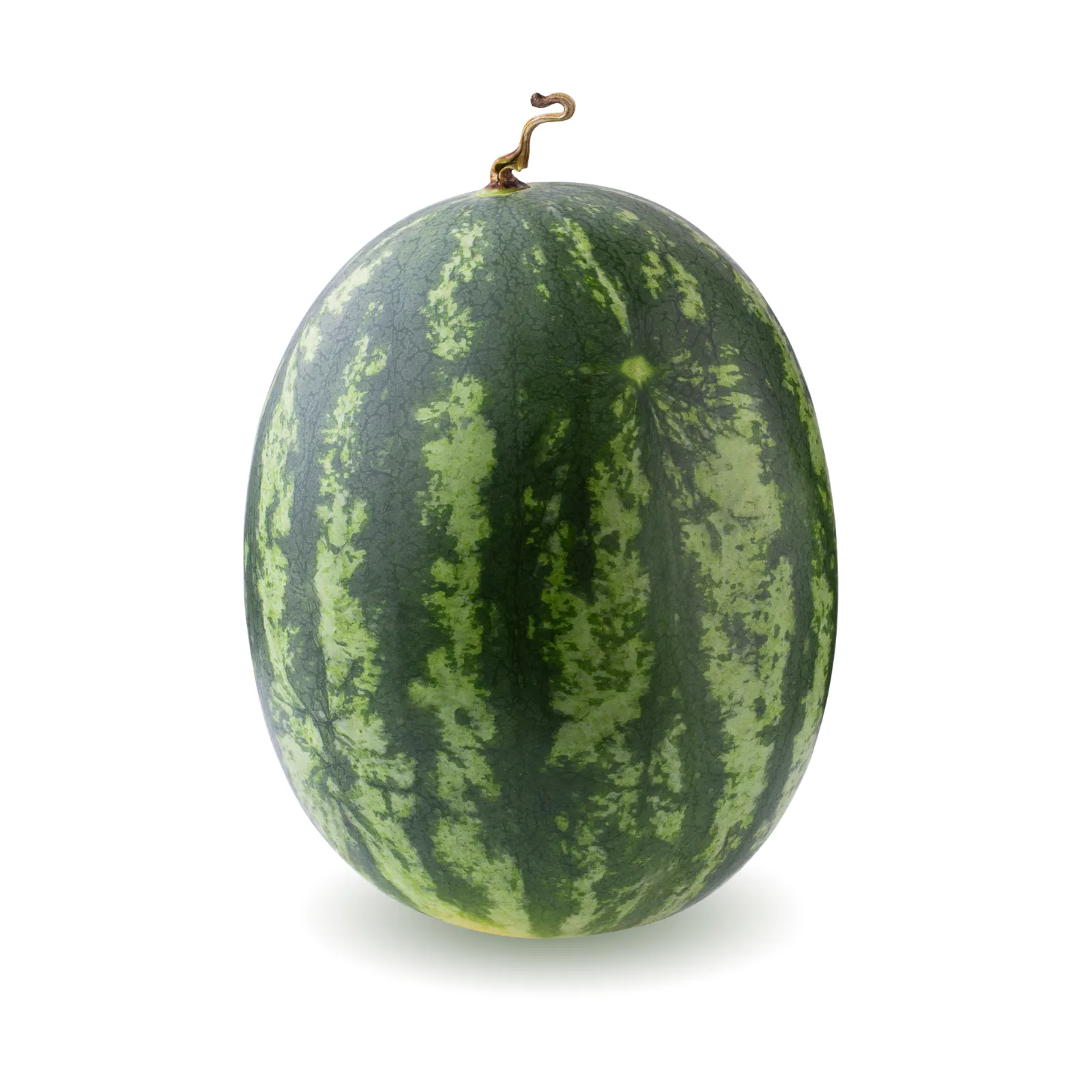 Pastèque