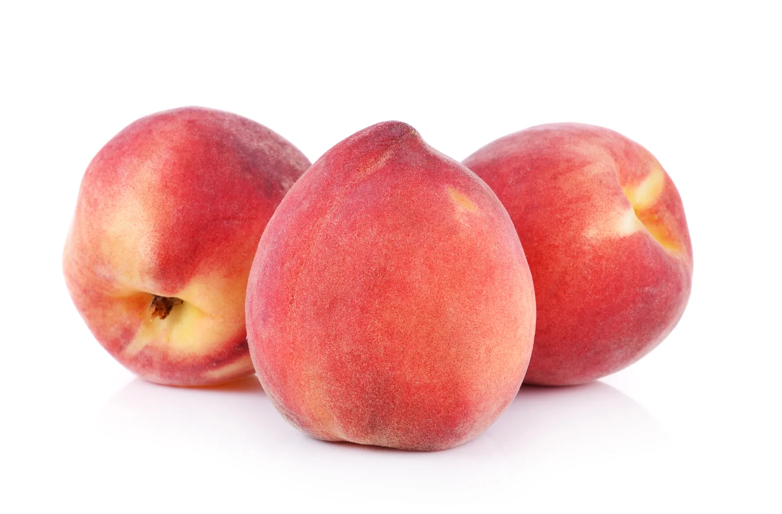 Pêche