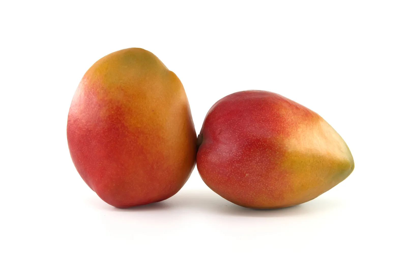 Mangue
