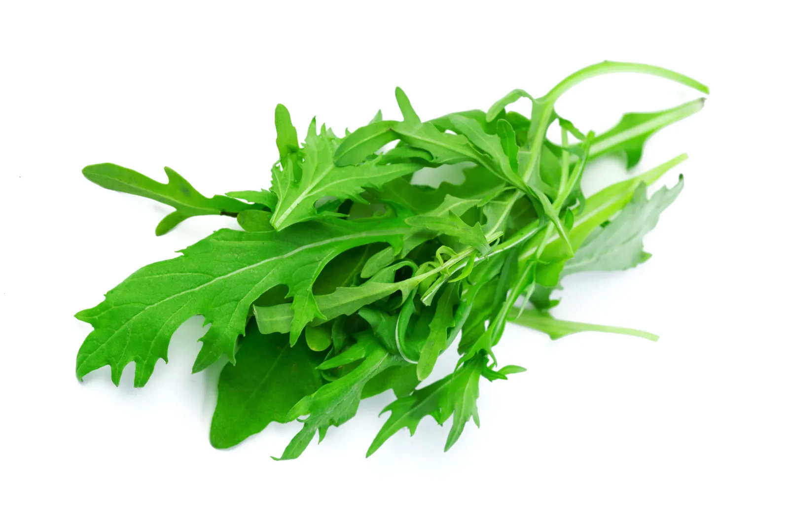 Roquette