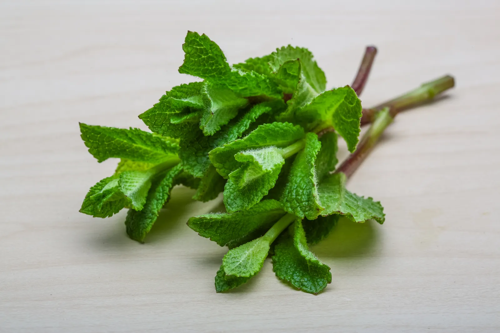Menthe pouliot