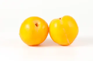 Prune jaune