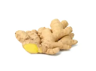 Gingembre frais