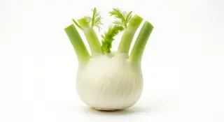 Fenouil