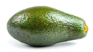 Avocat