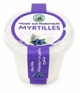 Yaourt probiotique Myrtilles