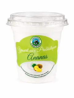Yaourt probiotique Ananas