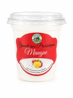 Yaourt probiotique Mangue
