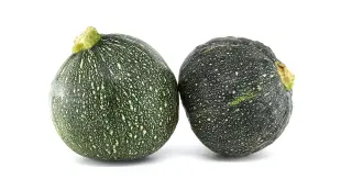 Courgette ronde