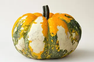 Potiron