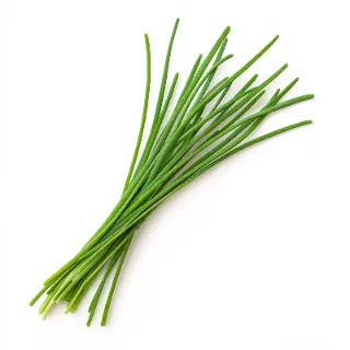 Ciboulette